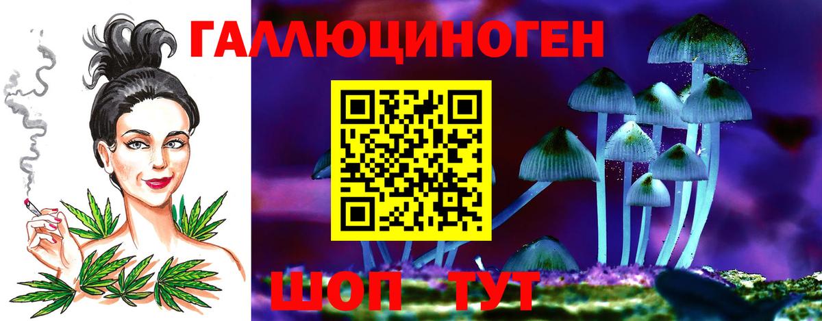 Моршанск  Галлюциногенные грибы Psilocybe  Псилоцибиновые грибы ЛСД  Вход с VPN 